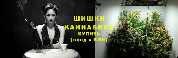 ПСИЛОЦИБИНОВЫЕ ГРИБЫ Зерноград