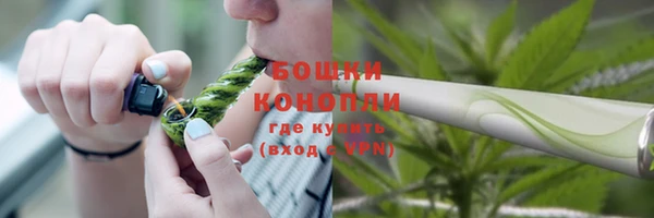 гидропоника Зеленодольск