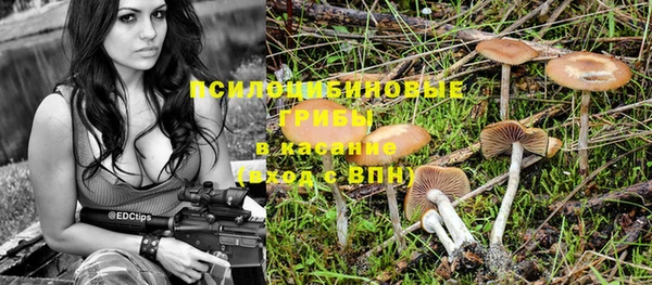 гидропоника Зеленодольск