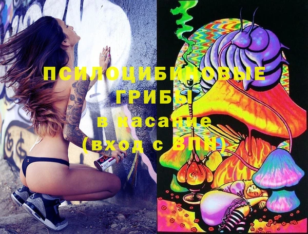 ПСИЛОЦИБИНОВЫЕ ГРИБЫ Зерноград