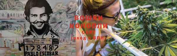 гидропоника Зеленодольск