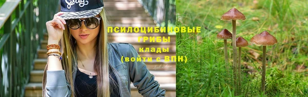 ПСИЛОЦИБИНОВЫЕ ГРИБЫ Зерноград
