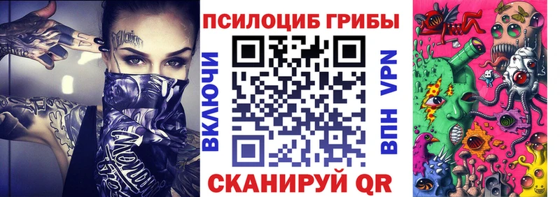 блэк спрут зеркало  Талдом  Галлюциногенные грибы Magic Shrooms 